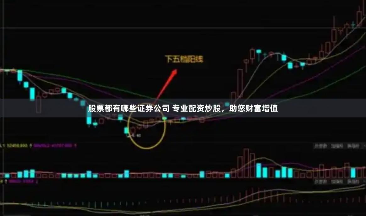 股票都有哪些证券公司 专业配资炒股，助您财富增值