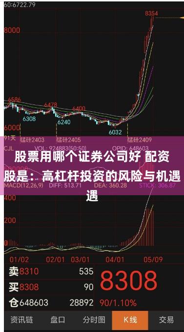 股票用哪个证券公司好 配资股是:高杠杆投资的风险与机遇