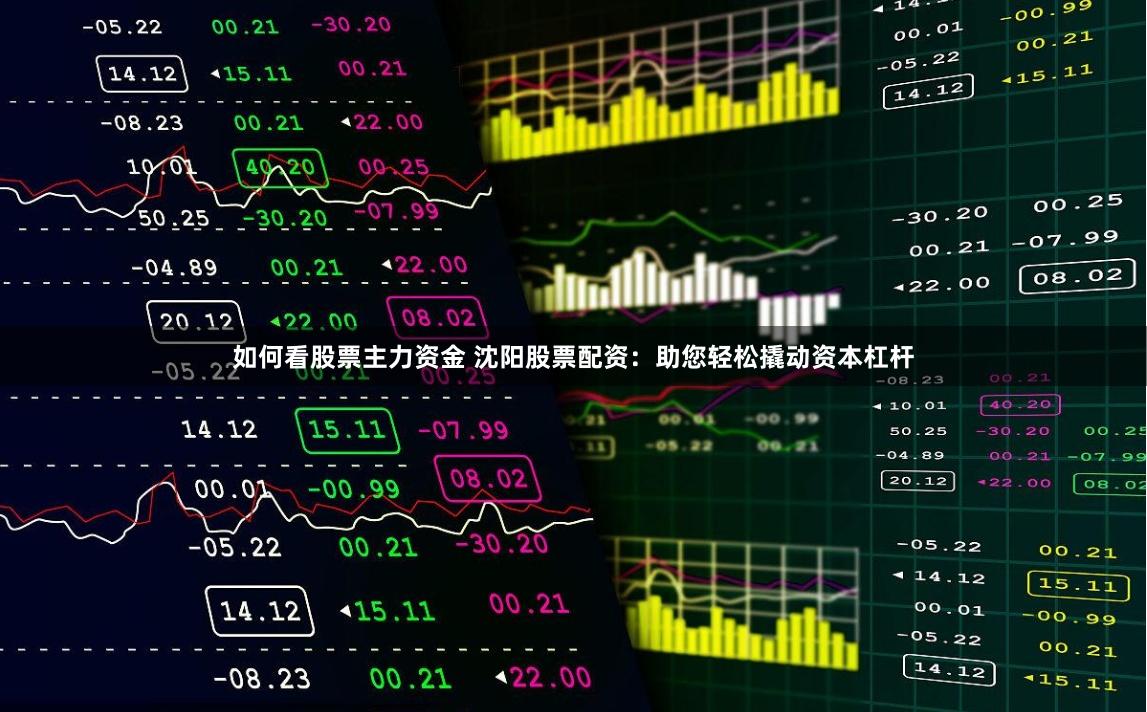 如何看股票主力资金 沈阳股票配资：助您轻松撬动资本杠杆