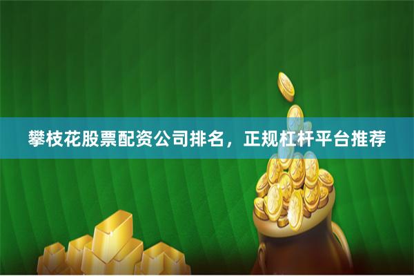 攀枝花股票配资公司排名，正规杠杆平台推荐