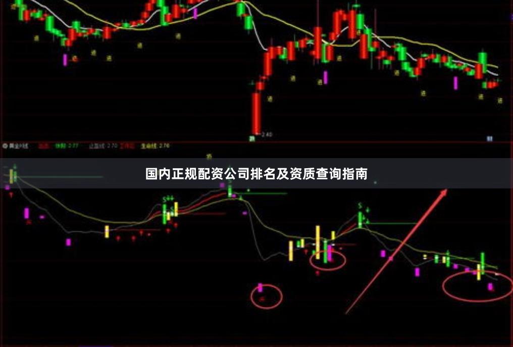 国内正规配资公司排名及资质查询指南