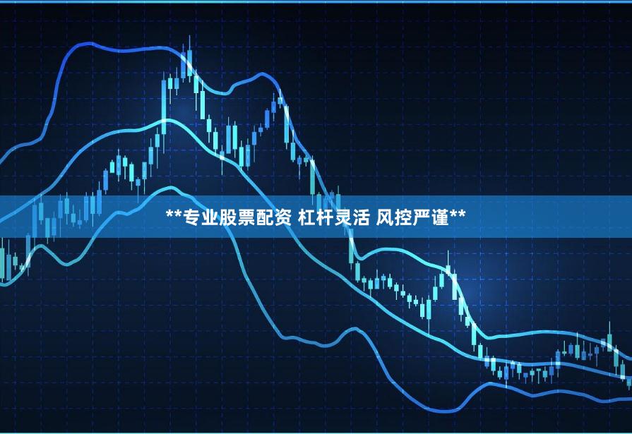 **专业股票配资 杠杆灵活 风控严谨**